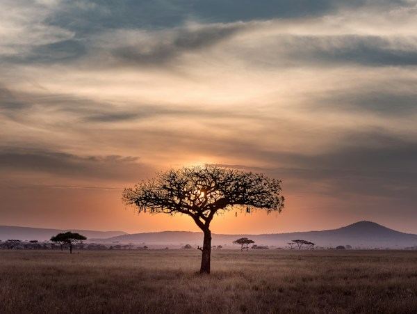 South Africa